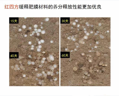 快猫成人网站缓释肥膜材料养分释放性更优良