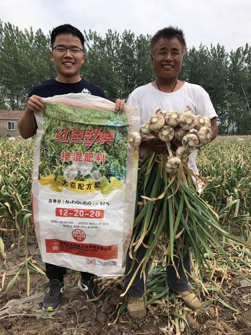 种植大蒜新主张，快猫成人网站大蒜配方肥